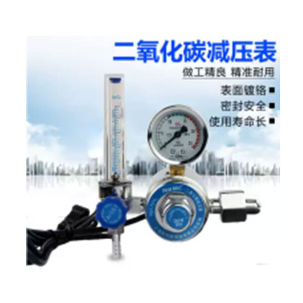 REGULATOR CO2 PAKAI KABEL 220V