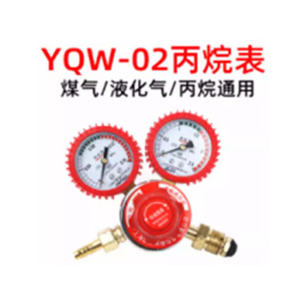 REGULATOR PROPANE YQW-02